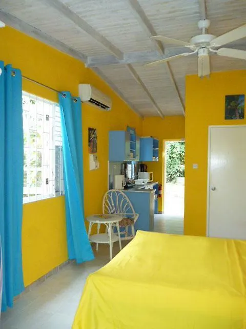 Sunrise Studio Apartment Saint James